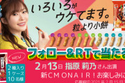 【朗報】莉乃ちゃん、新CMが2本決まる