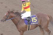 【競馬/JBCC】今世紀最高のカード 歴代屈指の怪物コパノリッキーＶＳダート5戦無敗アウォーディー