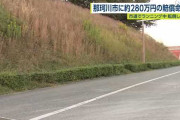 ランニング中の男性、"苔"で滑って尻もち　市を相手に1650万円の損害賠償を求める　