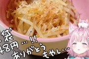 もやしで炎上したVTuberこよりさん、早くも配信のネタにしてしまう　⇒　ネット民ブチ切れへ・・・・