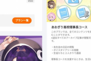 【画像】Vtuber事務所に月一万円課金するとVtuberと電話できるぞ！！
