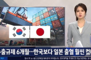 克日の始まりだ！不買で日本に勝つ！日本は滅ぶべき！輸出規制6カ月貿易成績表 日本の方が出血ずっと大きかった 韓国の反応