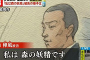 凶悪事件で捕まった容疑者男性が法廷で「森の妖精」を自称　→　現役精神科医に見せた結果…