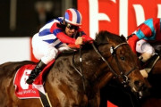 【競馬】ヴィクトワールピサってなんでドバイWC勝てたの？