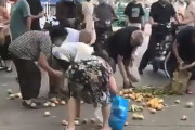 【動画】中国、老人の露店が中共当局に破壊され、散乱した商品の桃を通行人が略奪！