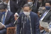 【悲報】菅首相「全集中の呼吸で答弁させて頂きます」→完全に滑り倒して無事死亡・・・