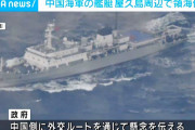 【中国艦 領海侵入】自民･ヒゲの隊長「領海侵入なのに『抗議』ではなく『懸念』伝達の日本。弱すぎる」