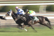 【競馬・神戸新聞杯】ワールドプレミア武豊「気性がまるで成長していない……」