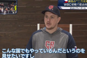WBCチェコ代表「こんな国でも野球をやっているんだというのを見せたい」