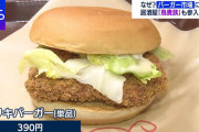 【朗報】トリキバーガー(390円)、普通に美味そうだと話題にｗｗｗｗｗｗ