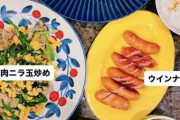 4児の母・平愛梨の手料理がすごい！豊富な品数＆豪華メインの８日分を一挙公開「パーティーみたい」「尊敬」の声