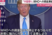 トランプさん「WHOさんさぁ、せっかく台湾さんがヒトヒト感染するて警告したのに無視したよね？」