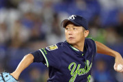 【朗報】ヤクルト石川(43)、現役続行