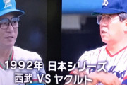 1992,1993年の日本シリーズｗｗｗｗ