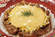 【画像】すき家さん、新しいチー牛「チーズ牛カルビ丼」を発売ｗｗｗ