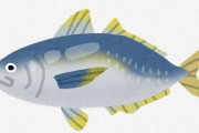 【魚】今年ダメ…“スーパーゼンゴ”極度の不漁　ほとんどマイワシ