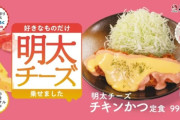 【画像】松のやの次の期間限定メニューがガチでめちゃくちゃ美味そうｗｗｗｗｗ