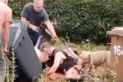 【衝撃】2匹の凶暴な犬に襲われた男性が死亡した事件の映像が公開される。