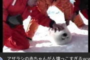 【画像】このYouTubeのサムネｗｗ