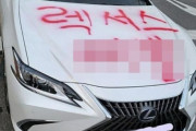 違法駐車した日本車に落書きテロ…韓国ネチズン「痛快」vs「財物損壊」＝韓国の反応