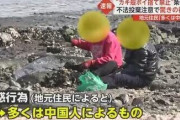 カキ殻の不法投棄、過料を科す条例施行後も全く収まらず 「8～9割が中国人」