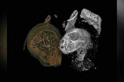 古代エジプトの動物ミイラ、デジタル技術で「開封」　猫・ヘビ・鳥の三体