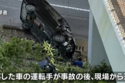 【！？】浜松で一般道から東名高速に車が転落 → 子供2人を置いて運転手が逃走