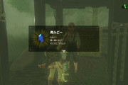 『ゼルダの伝説』リンクってどこにルピーをしまって持ち歩いてるの？