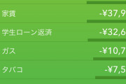 【画像】手取り20万ワオ、今月残り4日を残して19万使ってしまうｗｗｗｗｗｗｗｗｗｗｗｗｗｗｗ