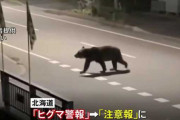【悲報】北海道福島町でクマに襲われた配達員、前々から狙われていた模様