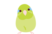 【笑撃】インコが笑わせにくるｗｗｗｗｗｗW