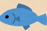 【なぞなぞ】死にたくないと言っていた魚が死んでしまった　←　この魚な～んだ？