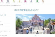 ディズニーランドのゴミ箱が溢れている？驚愕の実態が拡散中！