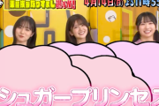 【日向坂46】おひさまも共感！？今週の『チョコプランナー』日向坂企画が面白そうｗｗｗｗｗｗ