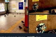 【悲報】新宿駅の「鳩対策」、間抜けすぎてバカにされるｗｗｗｗ