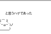 【ごちうさ】チノちゃん｢環境破壊は楽しいですね｣