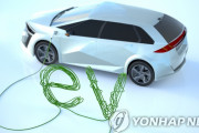 そりゃあ死ぬのはいやだろ　～　【レコチャイ】韓国でEV車の販売が激減、一体なぜ？＝ネット「EVを買う人はおかしい」