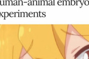 海外「日本が動物にヒトの細胞を移植する実験を許可したぞ」→「ついに獣人が現実化するのか」