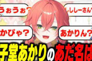 【にじさんじ】獅子堂あかりはなんて呼べばいいの？
