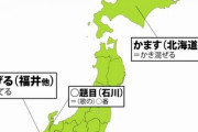共通語だと思い込んでいたor通じなかった方言