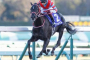 【日本ダービー枠順確定】無敗2冠を目指すコントレイルは3枠5番ｗｗｗｗｗ