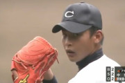最近で一番最高な甲子園 にわか「2015」玄人気取り「2009」なんＪ「2013」