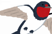 ツバメという小鳥って可愛いよな？