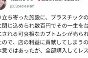 【画像】心優しいヴィーガンさん、店で売られてるカブトムシを買い占めて自然に帰してあげる