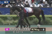 有馬回避のスティンガーグラスが木村厩舎から友道厩舎に転厩