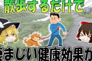 【なにこれ？】有識者「朝散歩しろ！本読め！人と話せ！運動しろ！セ　　　　しろ！野菜食え！良く寝ろ！｣