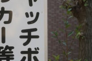 目立つ「キャッチボール禁止」の看板　少年野球元指導者の危機感！「大人がいないとできないスポーツになってしまいました」