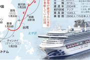 ダイヤモンド・プリンセスの船籍国である英政府の動きは全く見えず　クルーズ船対応にルールなし