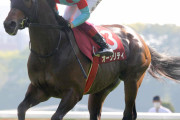 青葉賞を制したオーソリティは左前脚に骨片が見つかりダービー断念