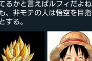 【悲報】識者「ルフィの方が絶対モテる。非モテはなぜ悟空を目指そうとする」